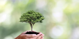 Articolo nove Articolo nove