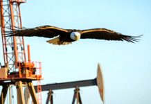 Attacco al Venezuela Attacco al Venezuela